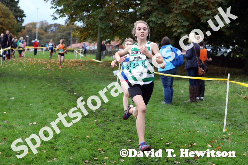 Under-15 girls Green 348 North East Harrier League, Blaydon. Photo: David T. Hewitson/Sports for All Pics